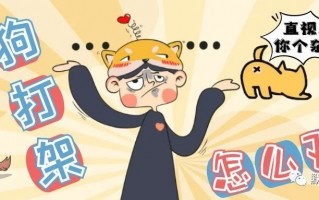 足球没压赢赔钱吗是真的吗，足球没压赢赔钱吗是真的吗还是假的